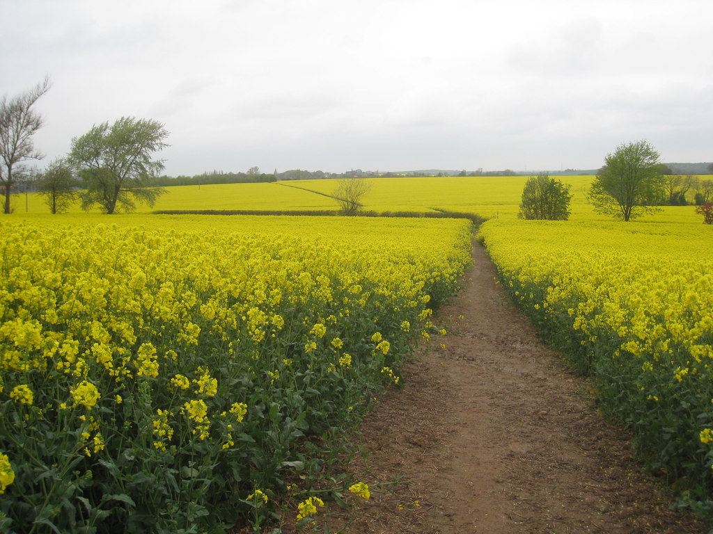 “Breaking Free from the Monoculture: A Call for Trust and Authenticity in Education”